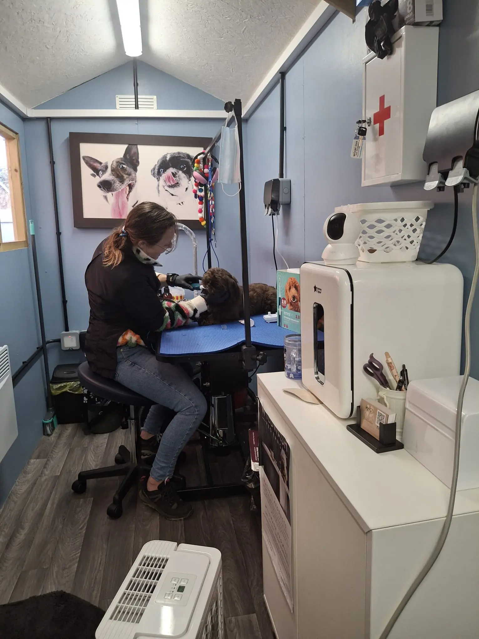 The BarkBuddiez grooming salon interior